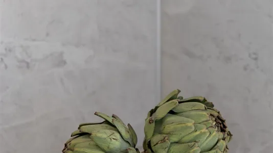 Hus till salu i Gotland - foto 12